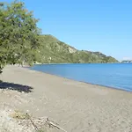 Turtle\'S Nest