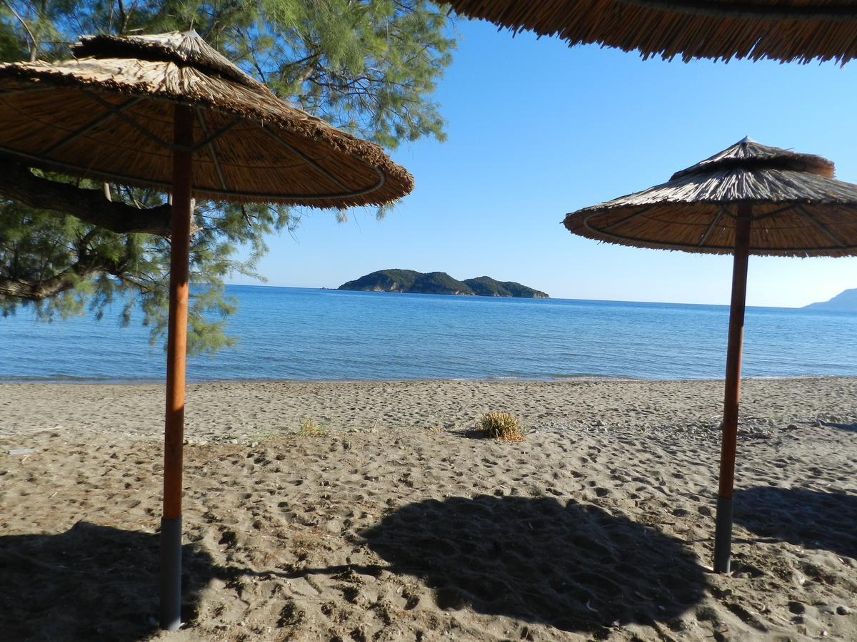 Turtle's Nest 3* Vasilikí