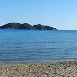 Turtle\'s nest