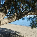 Turtle\'s nest