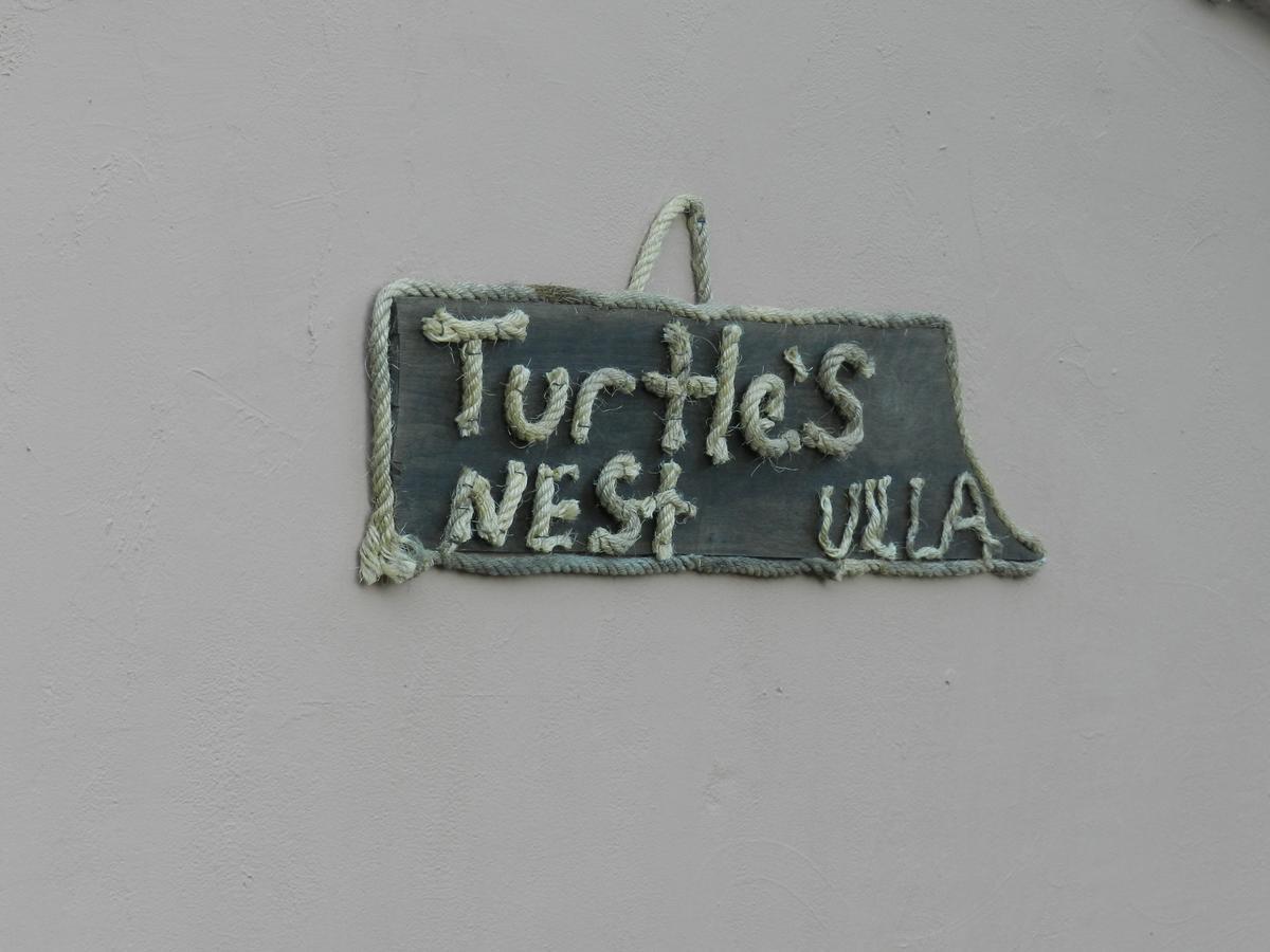 Turtle's Nest Vasilikí